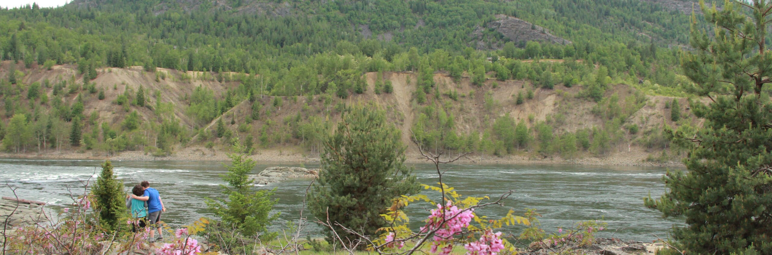 programs-services-initiatives